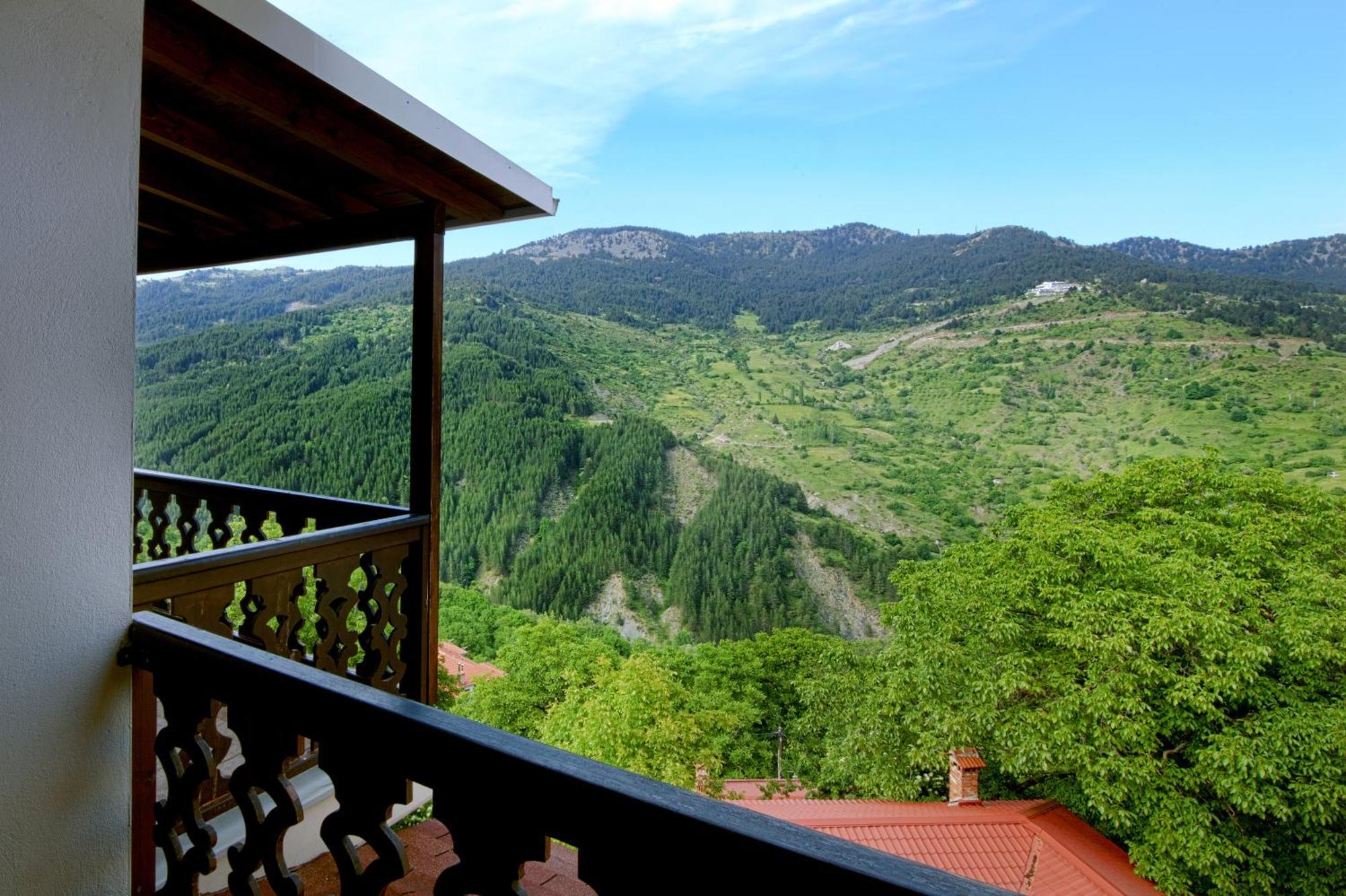 Aroma Dryos Spa & Eco Hotel Metsovo Exterior foto
