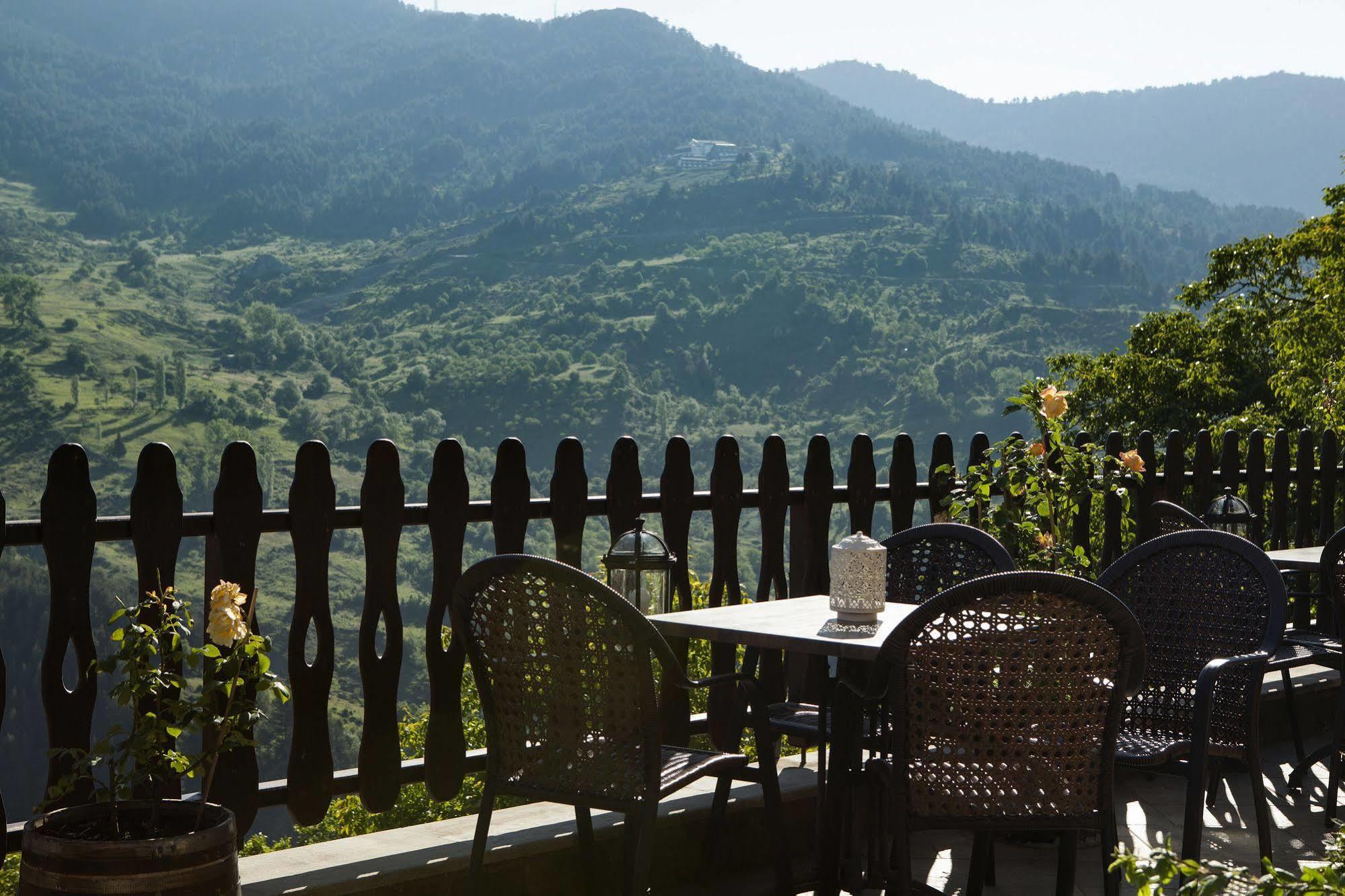 Aroma Dryos Spa & Eco Hotel Metsovo Exterior foto