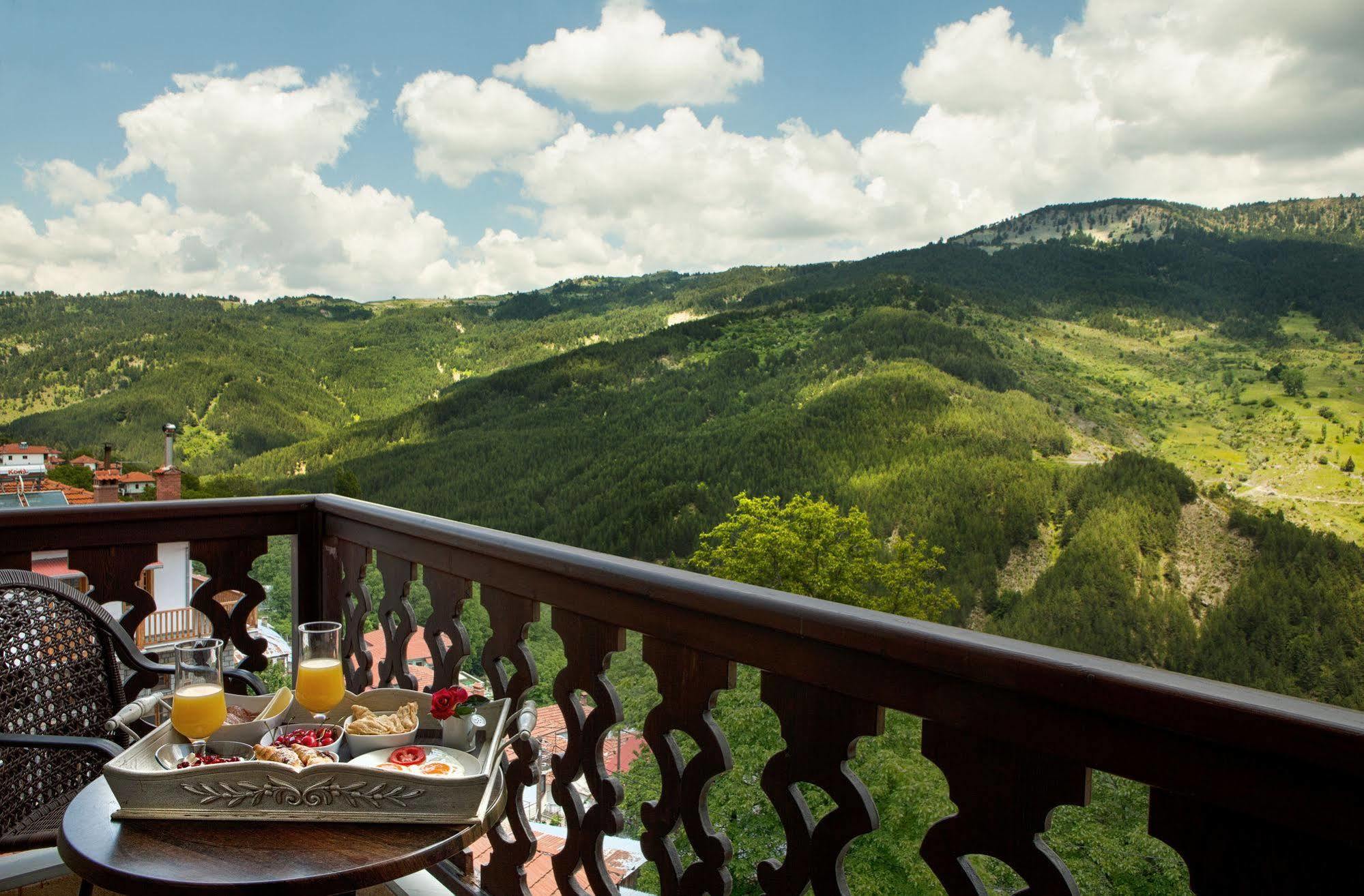 Aroma Dryos Spa & Eco Hotel Metsovo Exterior foto